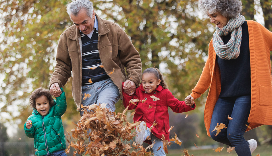 Grandparents and Extended Family Members mediation